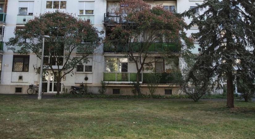 Nagy kárt csinált a vihar az egyik debreceni lakótelepen, lépett az önkormányzat!