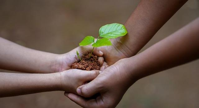 Újabb pályázattal ösztönözzük a generációváltást az agráriumban