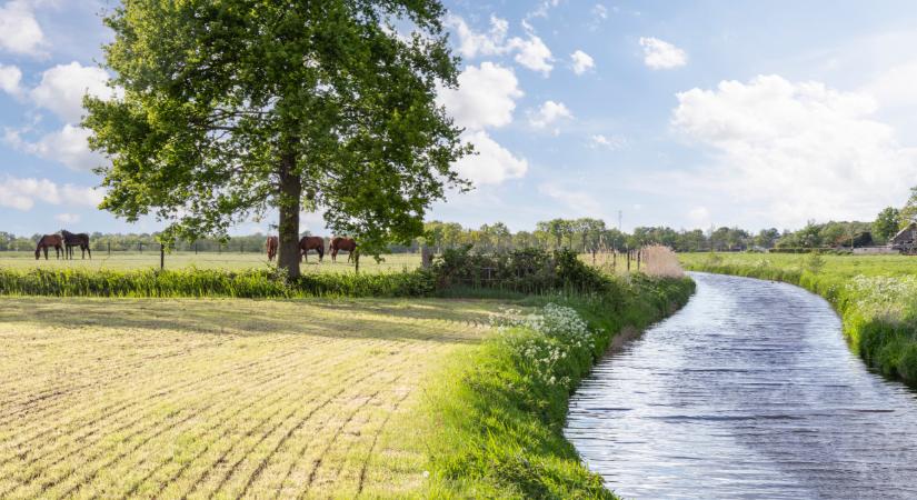 Nincs több idő: ha így megy tovább, a gazdák tehetetlenek lesznek a földeken