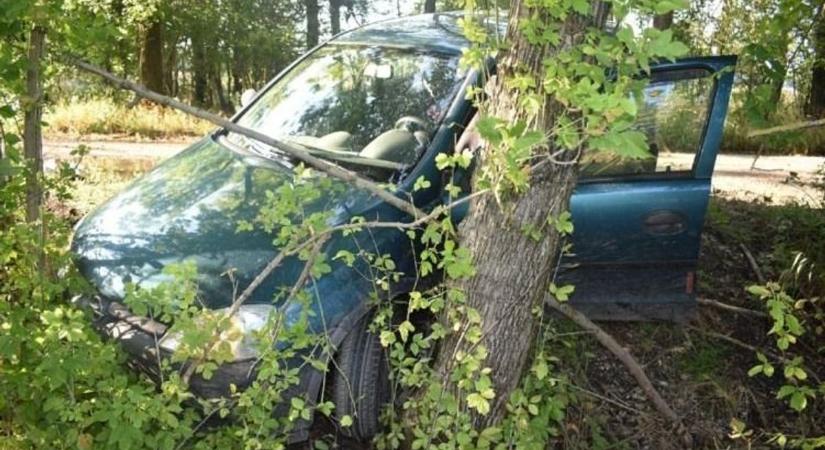 Drog, szeméremsértő, autótolvaj, mozgalmas napok vannak a mosonmagyaróvári rendőrök mögött