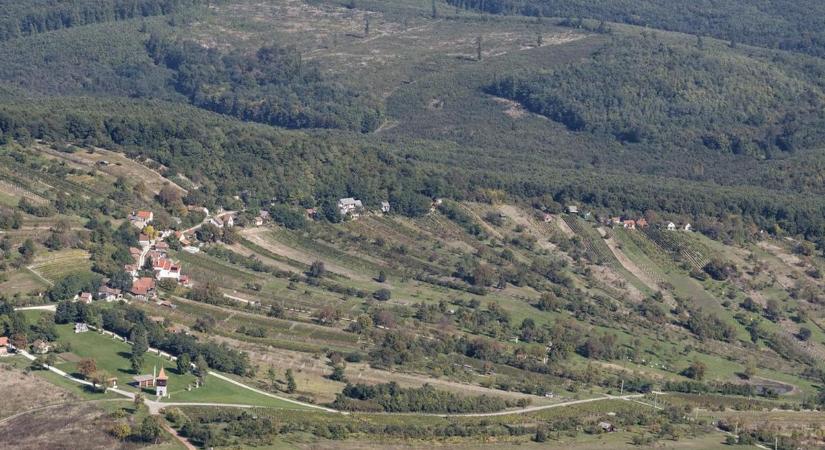 Karthágó-koncert borkóstolóval: minden út a Császta-hegyre vezet szeptember első szombatján