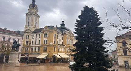 A Biokom keresi a mindenki karácsonyfáját