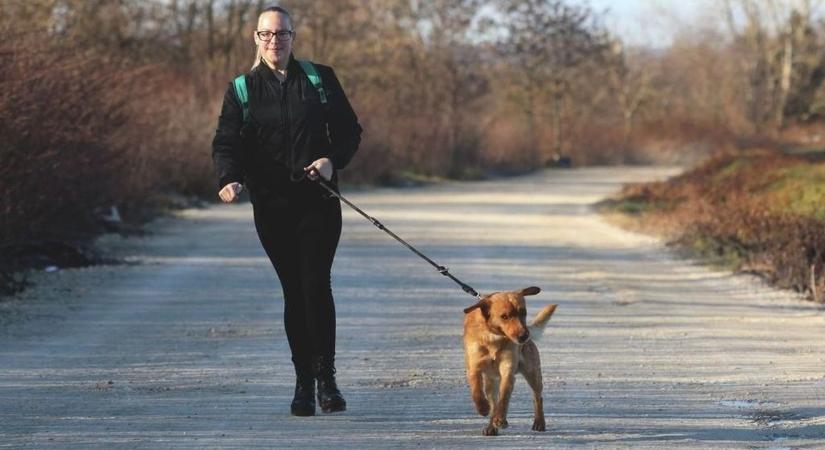 Megdobban a szív: négylábú kedvencek várják a látogatókat Miskolcon