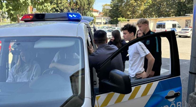 Sólymok lepték el a belvárosi parkot Kaposváron