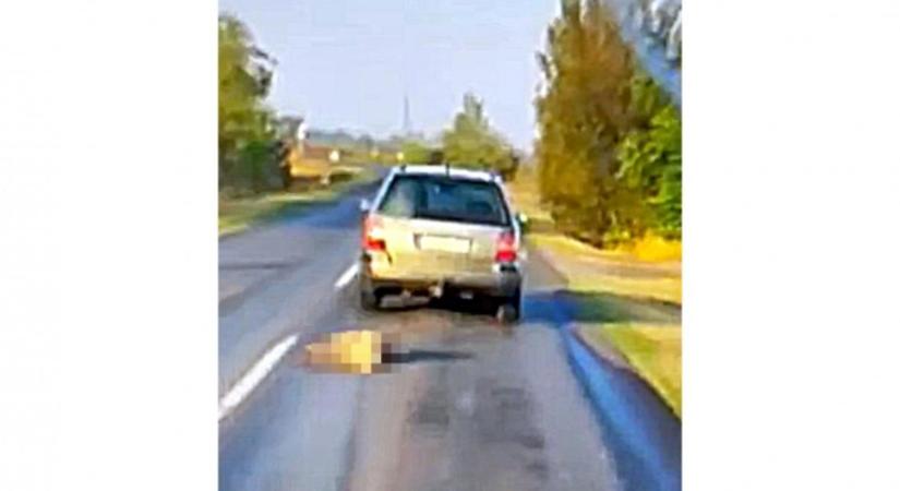 Majdnem százzal hajtott a kocsival, amire egy kutyát kötött