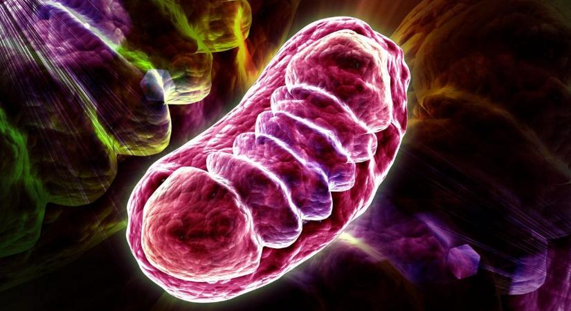 Rájöttek, mi támogatja a rákos áttétek terjedését: a glutathion