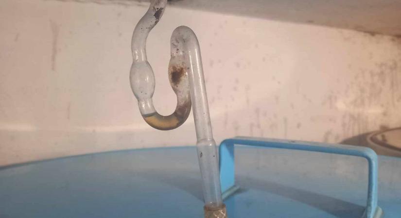 A hőmérséklet hatása a must erjedésére és a bor végső minőségére