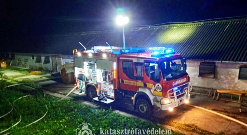 Mindent megtettek a tűzoltók, de hatezer pulyka elpusztult tűzvészben – fotók