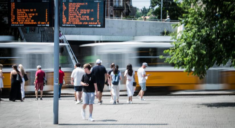 Már ősszel térgondnokok jelennek meg a budapesti köztereken