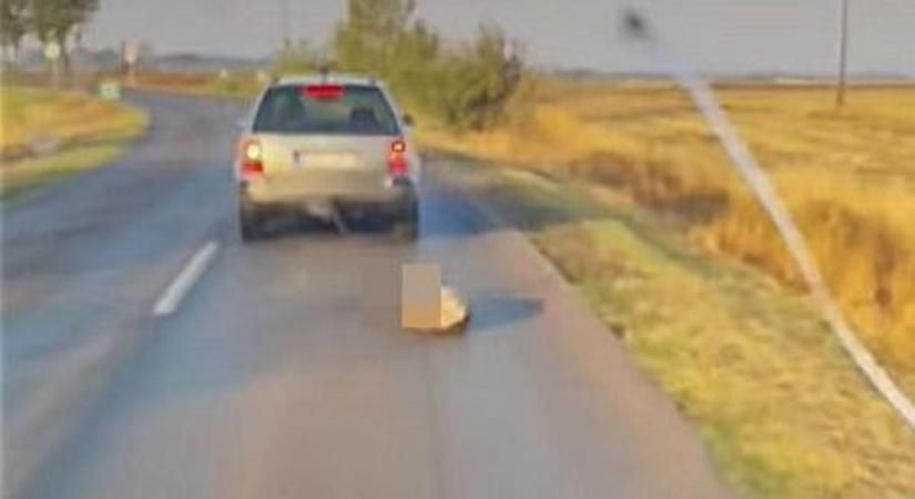 Sokkoló állatkínzás: véres láncon húzta kutyáját autója után egy férfi – videó