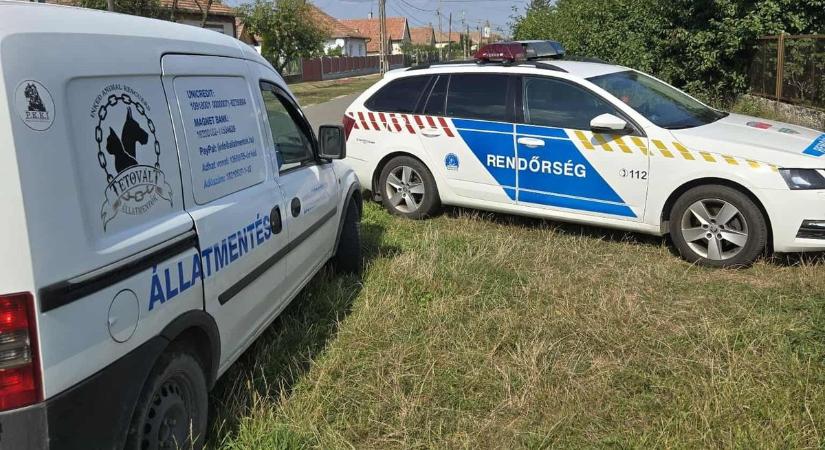 A gazda lemondott róluk – de amit ezután tett a rendőrség és az állatmentők, az példaértékű