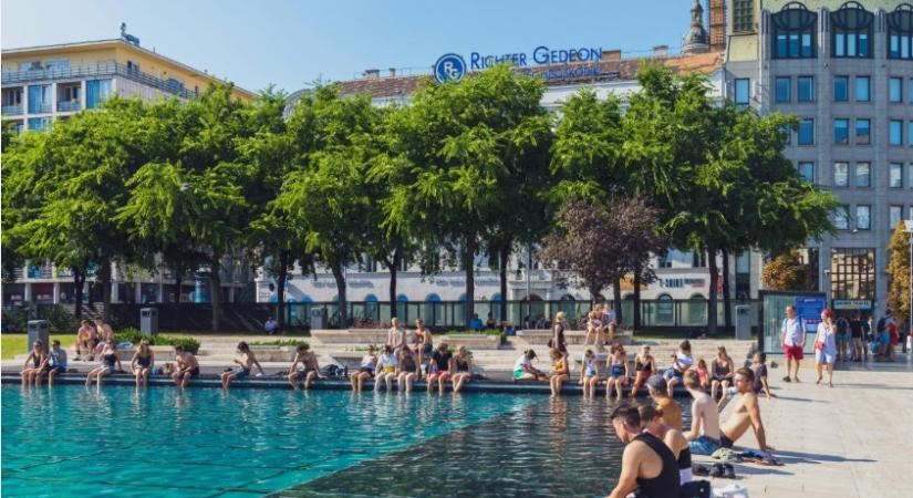 Civil mozgalomból közösségi akció: így készített appot a faöntözéshez egy BME-s alumni