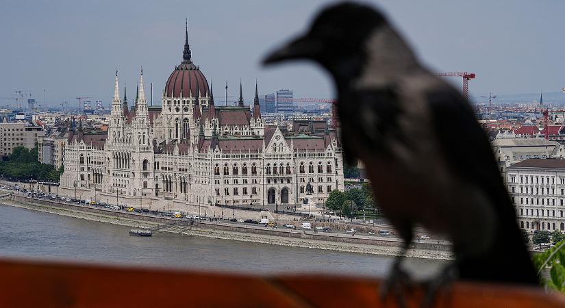 Padlógázzal robog a csőd felé Budapest: újabb 4,5 milliárdot emeltek le a főváros számlájáról