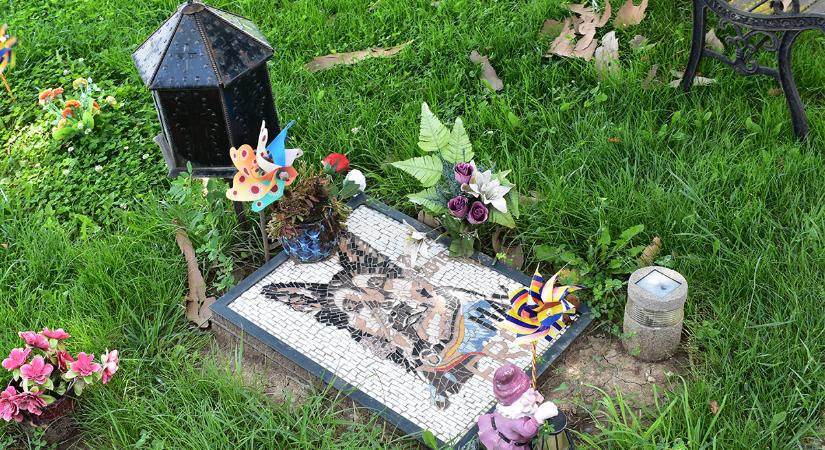 Közvitán a kolozsvári állattemető terve