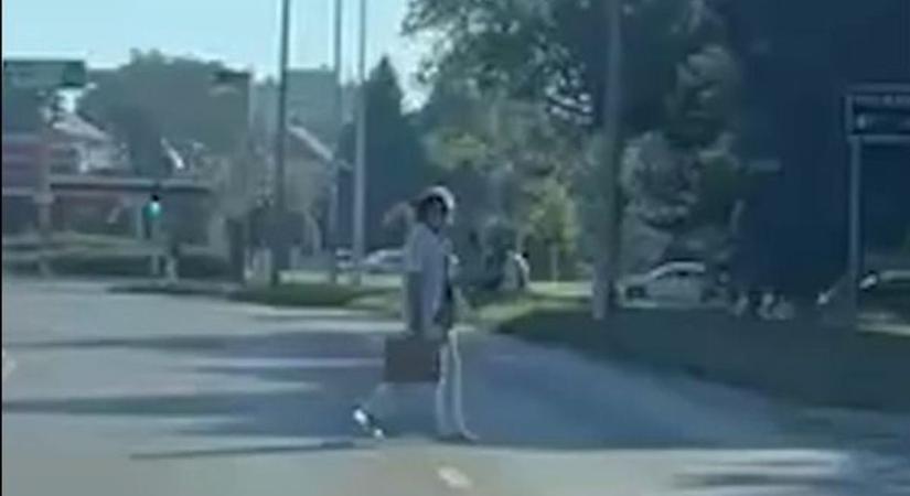 Életveszélyes, amit a gyalogosok művelnek – hiába van zebra, őket nem érdekli (VIDEÓ)