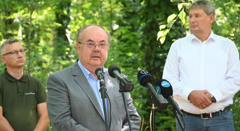 Zöld jövő Kőbányán: új lendületet kap a fővárosi erdőmegújítás