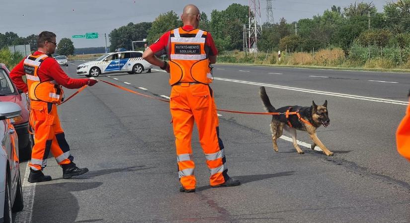 Mélyen megrázta őket – így dolgozzák fel a traumát a meggyilkolt kislányt megtaláló kutató-mentők