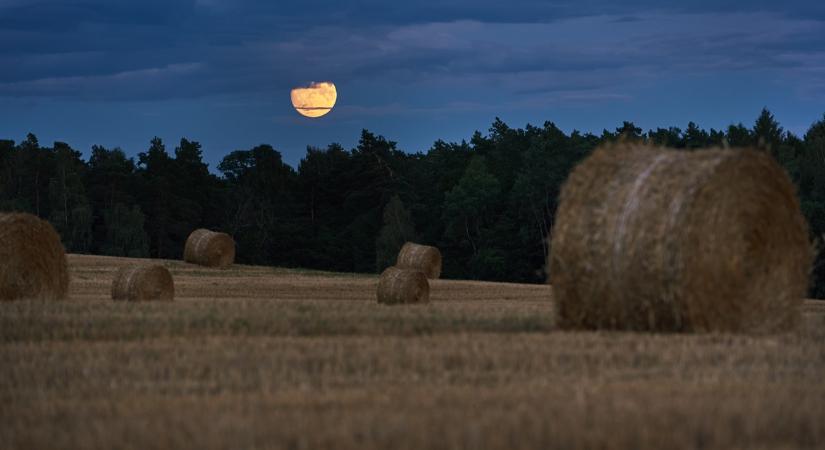 Időjárás: Szeptember, ugyan már, folytatódik a nyár VIDEÓ