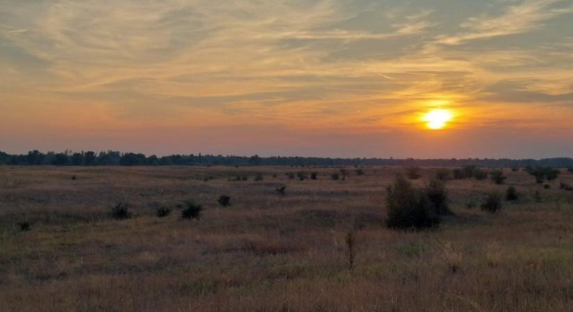 Fedezd fel a Kiskunság kincseit – jubileumi programsorozattal készül az 50 éves Kiskunsági Nemzeti Park