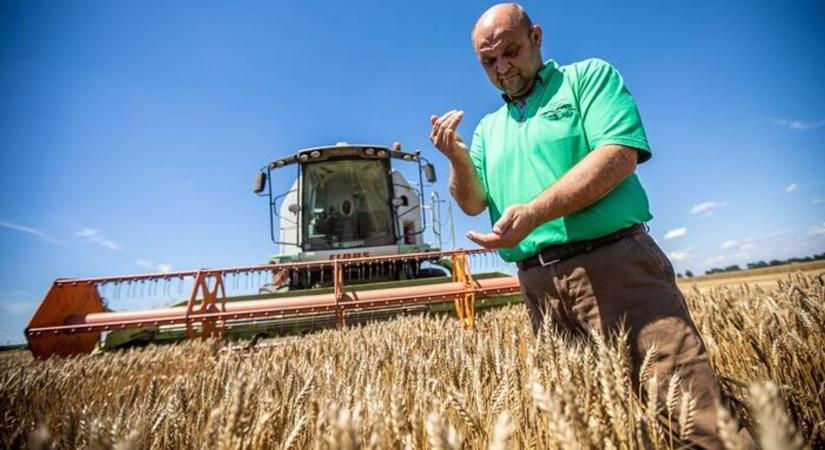 Bizonytalanságot hoz a Tisza Párt a baranyai gazdák számára