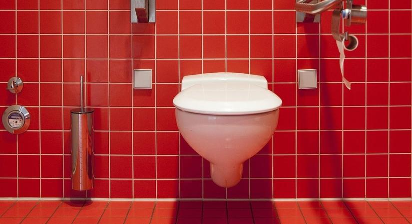 Miért kell sóval leöblíteni a vécét és milyen gyakran kell csinálni?