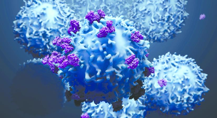 Előrelépés a kissejtes tüdőrák kezelésében: fókuszban az immunterápia