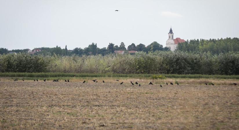 „Bűnbak vagyok” – állítja a felpéci bűzzel vádolt cégvezető