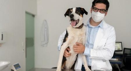 Koronavírus: kutyákkal szûrnék ki a betegeket