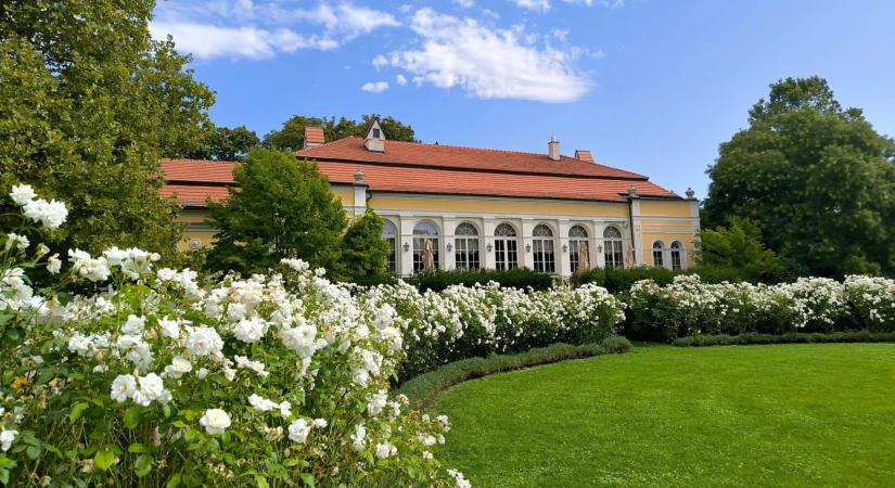 Irány Párkány! 10 program és látnivaló Párkány környékén