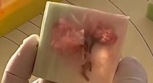 Valószínűleg a létező egszebb japán édesség – A nap videója