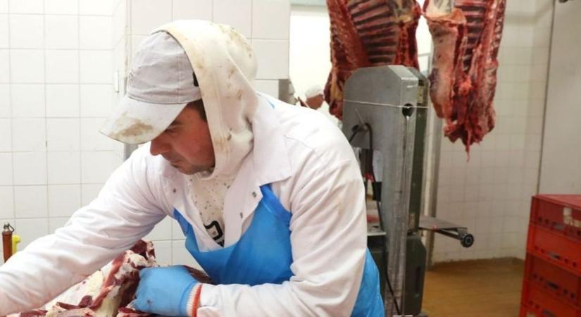 Mindenkinek rosszabb lenne, a feldolgozóiparban dolgozók megélhetését is nehezítené a Tisza-adó