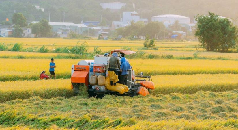 Megrekedhet a japán-amerikai agráralku: Tokió visszautasítja a rizsre vonatkozó követeléseket