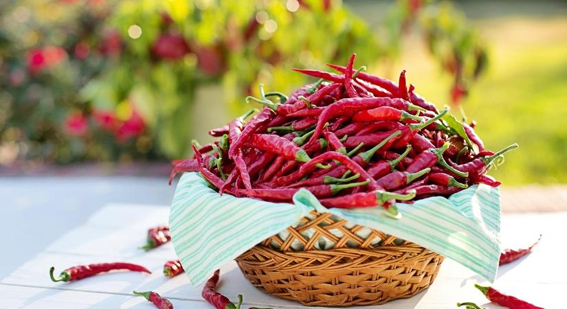 Kínai fűszerpaprika árasztotta el az európai piacot