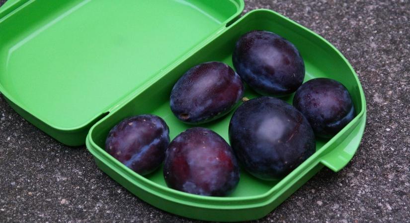 Van remény! Mégsem kell a Tupperware-tól búcsúzni?