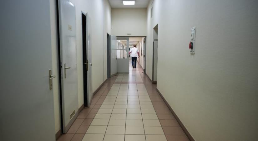 Nincs ágyipoloska-fertőzés, csak egy-egy rovart találtak a székesfehérvári kórház szerint
