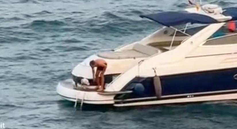 Bedobja a kutyát a jachtról a tengerbe a férfi, majd elhajt: megdöbbentő, ami ezután történik - Videó