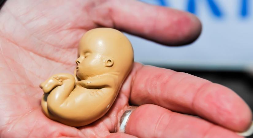 A kollégium mosdójában szülte meg, majd magára hagyta kisbabáját egy 15 éves lány