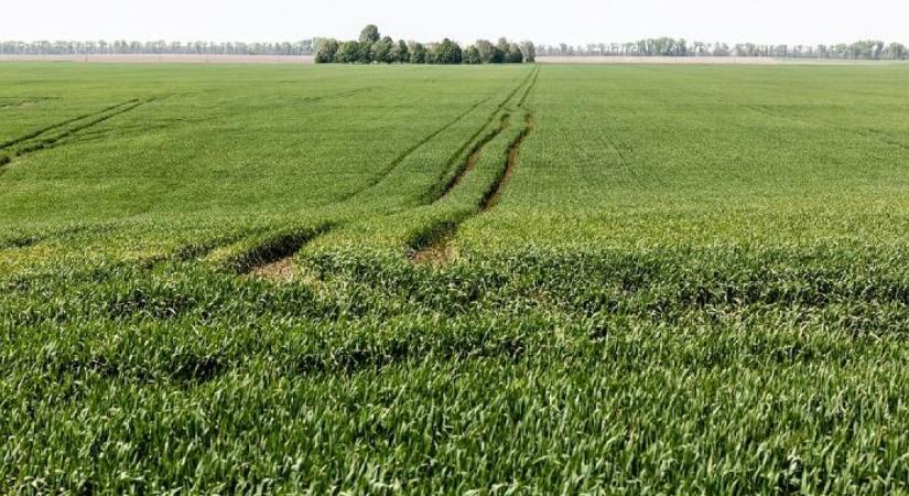 MBH Termőföldindex: Harmadával drágultak a legjobb szántók