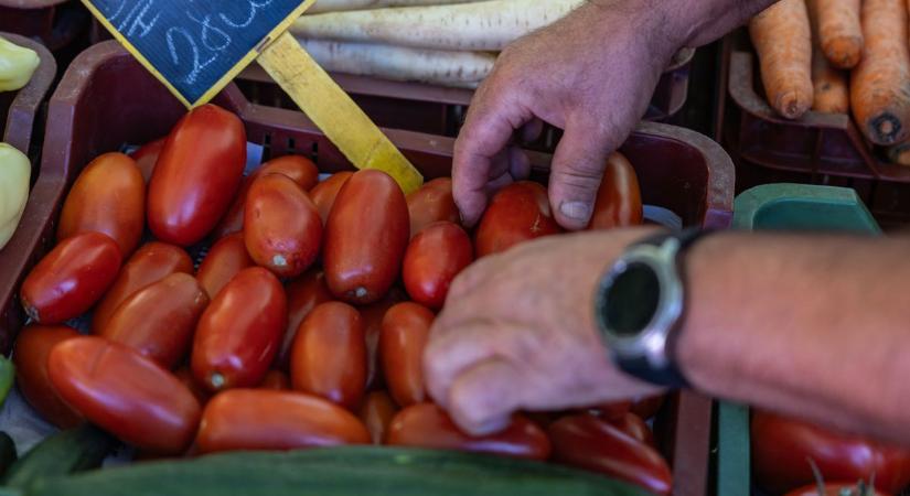Minden igényt kielégítő paradicsomkínálat a tatabányai piacon