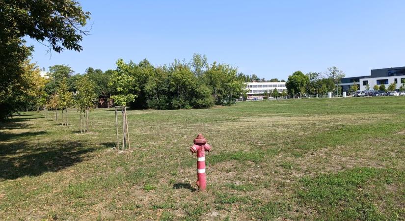 A régióban is meghatározó sportfejlesztésre készülnek Szekszárdon