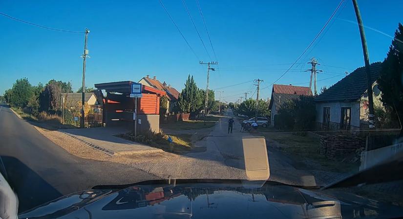 Videóra vették, ahogy gímszarvas ökleli fel a fideszes képviselőt