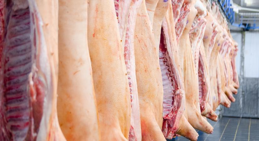 Félsertés kisokos: vásárlástól a feldolgozásig