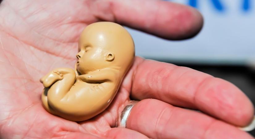A vécékagylóban hagyta újszülöttjét a kollégista tinilány, folytatódik az emberölési ügy