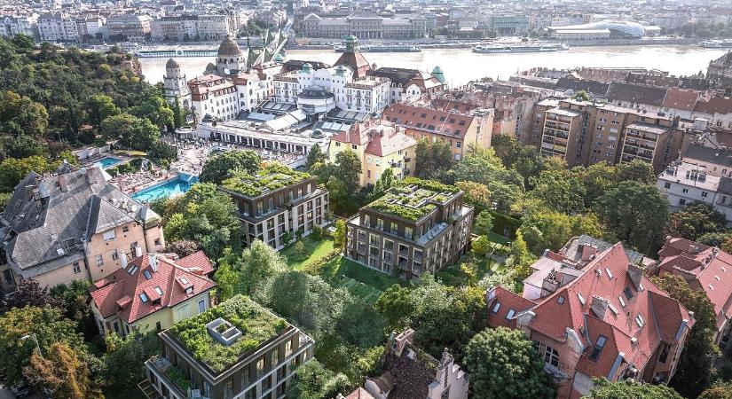 Óriási átalkulás a Gellért-hegynél, környezetvédelemmel indokolják a fakivágást