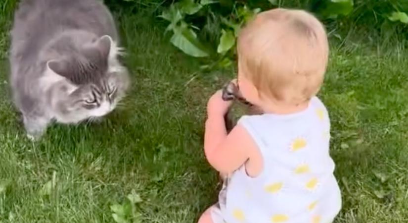 A cicával játszik az egyéves kislány a kertben: sokkot kap az anyja, amikor meglátja a kezét - Videó