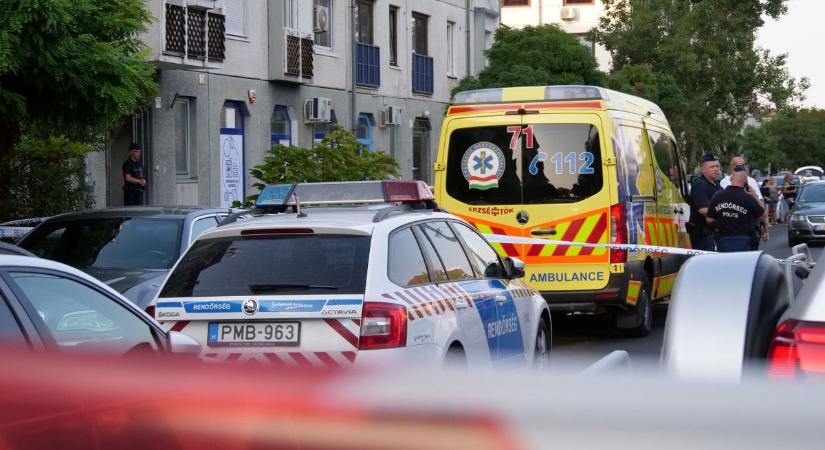 Zavart férfi ölte meg az édesanyját Soroksáron