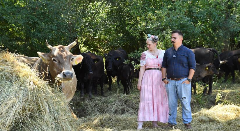 Hús, tej, tojás – ez egészséges