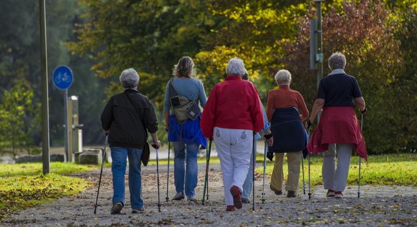 Séta helyett Alzheimer? – Mozogj, hogy ne felejts!