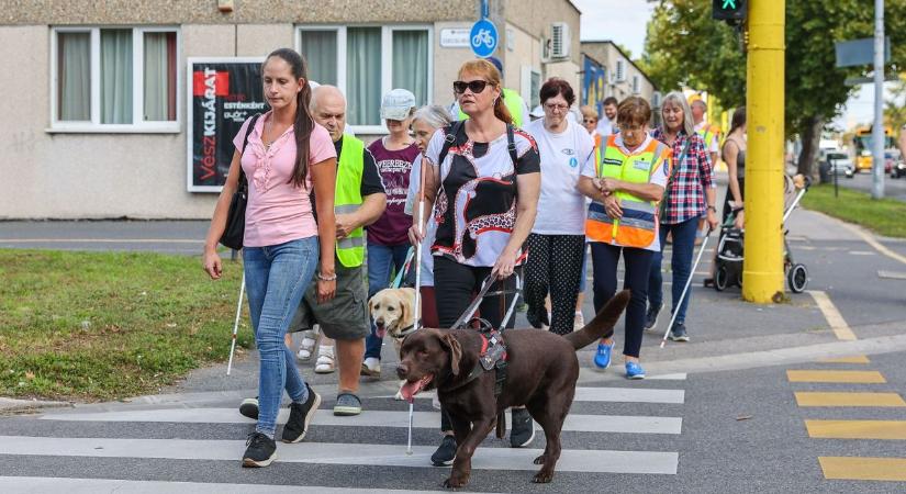 Öt egyszerű szabály, hogyan segíthetünk látássérülteknek átkelni az úton - videó