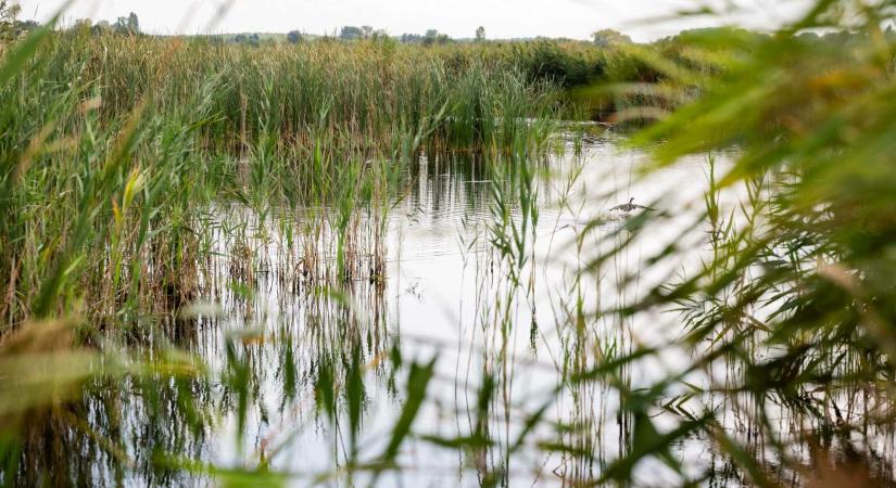 Újabb támogatás segítségével fejlődik a Berek Világa Látogatóközpont